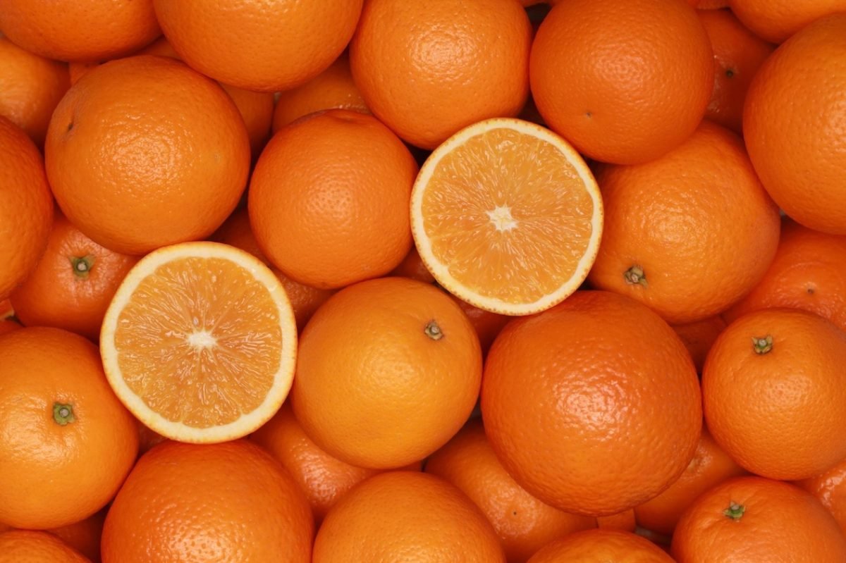 6050