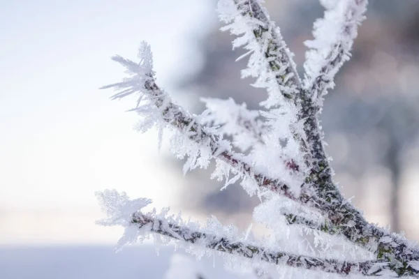 Dia-frio-scaled-e1652881206475-1536x922