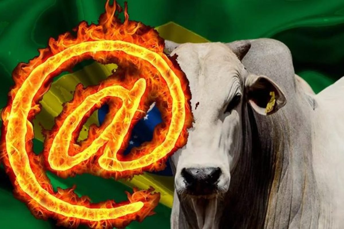 arroba-boi-gordo-comprerural-750x430
