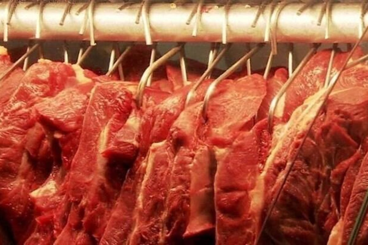 carne-bovina-3