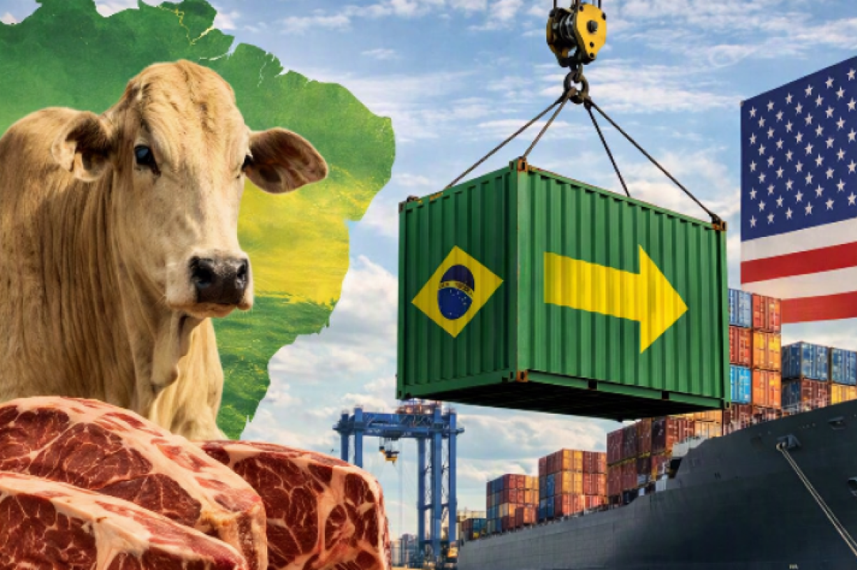 exportacoes-de-carne-bovina-do-brasil-aos-estados-unidos-ia-copilot-oWbSV0_918x474