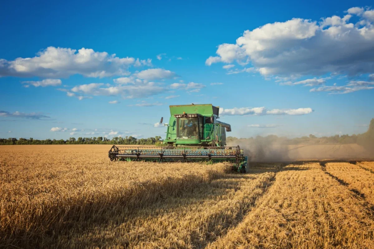 harvesting-combine-field-1024x683