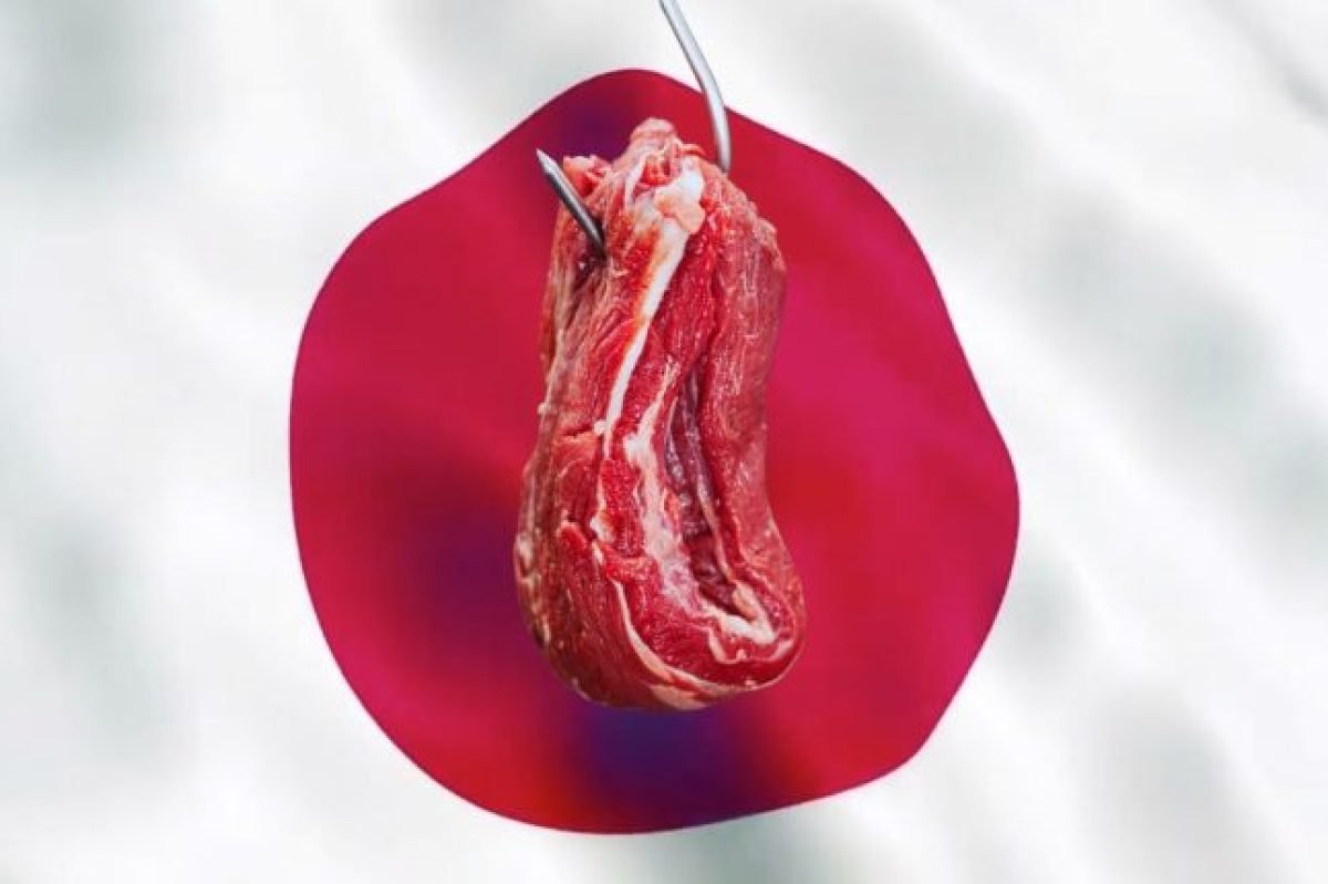 mercado-de-exportacao-de-carne-vermelja-para-o-japao-750x430