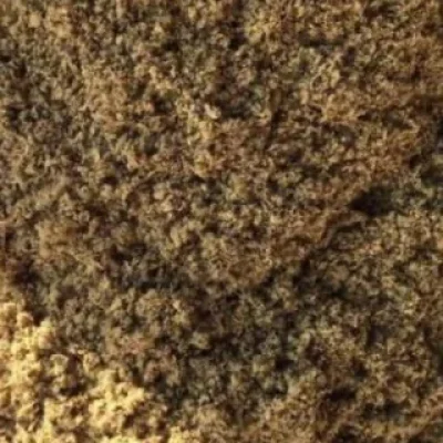 torta_algodão