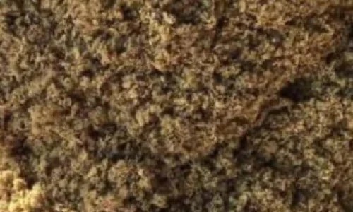 torta_algodão